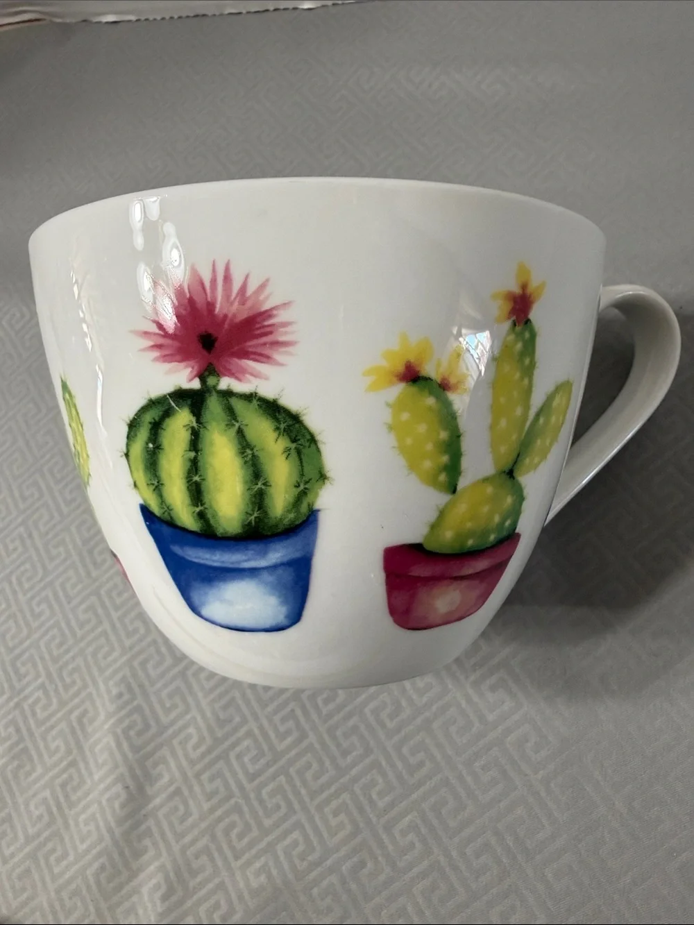 Portobello by Design Desert Cactus Pattern Bone China Oversized Mug Multicolor